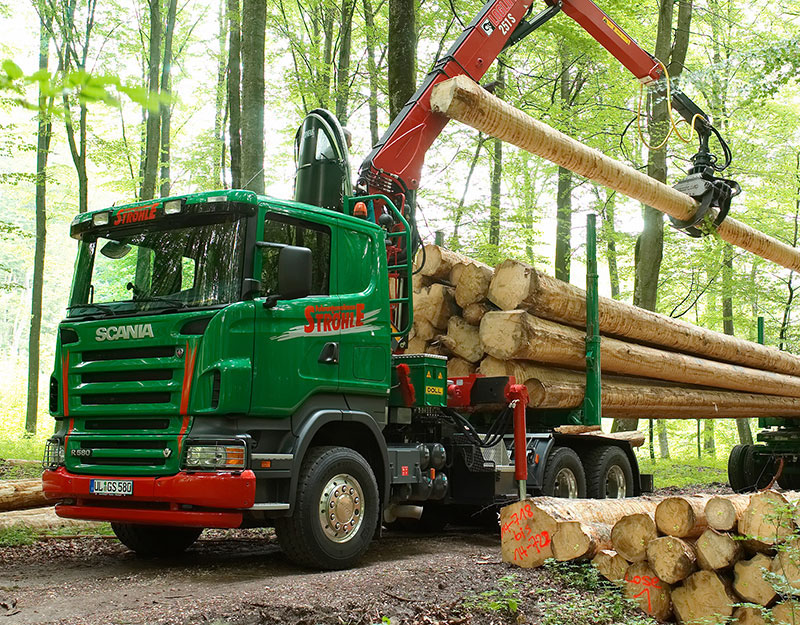 Fallert LKW mit Ladekran belädt Energieholz im Wald